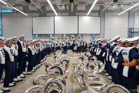 Image result for sapphire twirlstars