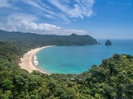 Image result for new chums beach