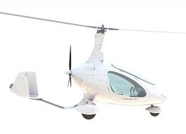 Image result for gepetto tehron