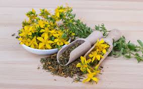 Image result for Johanniskraut