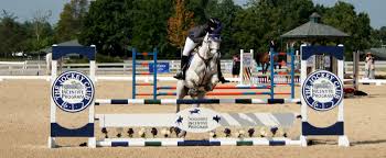 Image result for Huntingdon and District Riding Club