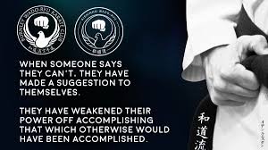 Image result for Burnley Wado Ryu Karate Club