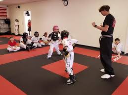 Image result for Kenpo Karate Club