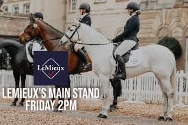 Image result for East Riding Badminton Club