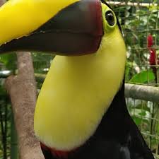 Image result for Garstang Ttc