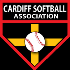 Image result for Devizes Volleyball Club