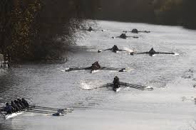 Image result for Wallingford Rowing Club