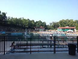 Image result for Leek Swimming Club