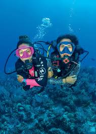 Image result for Mansfield 735 BSAC