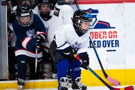 Image result for Adur Skater Hockey Club