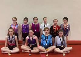 Image result for Wolverhampton Gymnastics Club