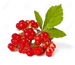 Attēlu rezultāti vaicājumam “Rubus saxatilis fruit”