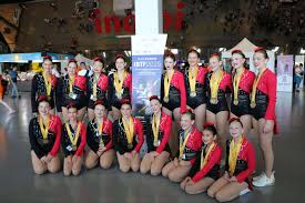 Image result for Cliffside Royalettes Twirling Team