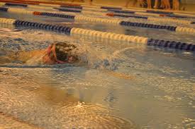 Image result for Stevenage Swimming Club