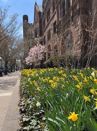 Image result for 2005早春