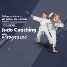 Image result for Judo Excellence