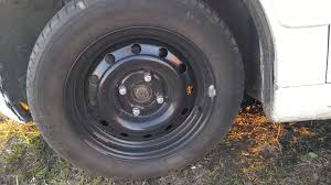 Картинки по запросу белку зажевало в диск