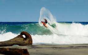 Image result for Freeride Surf School