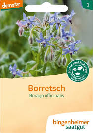 Image result for Borretsch