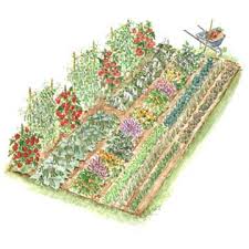 Vegge Garden of Eden