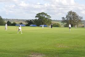 Image result for Bucklebury Cricket Club