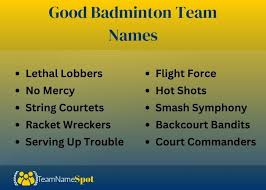 Image result for Delco Electronics Senior Badminton Club