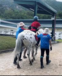 Image result for Riding For The Disabled Association