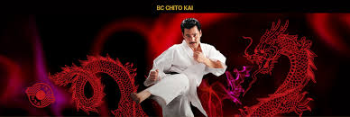 Image result for Charnwood Shoto Ryu Karate kai