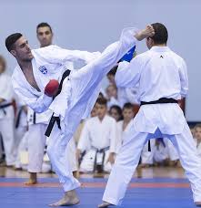 Image result for Nottingham Sankukai Karate