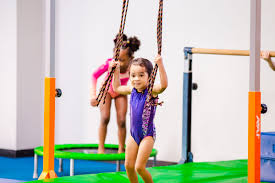 Image result for Little Tricks Gymnastics - Pre-School and Play Gym