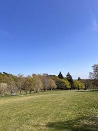 Image result for Dorking Golf Club