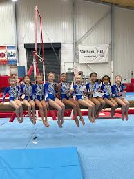 Image result for Notts School Of Gymnastics