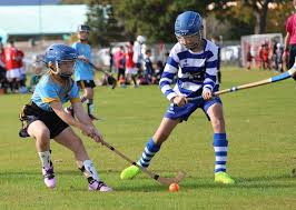 Image result for World of Shinty