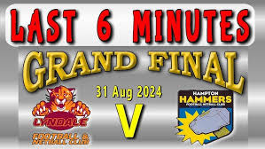 Image result for Pumas Netball Club