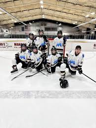 Image result for Ash Avalanche Skater Hockey Club