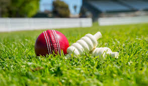 Image result for Torquay Cricket Club