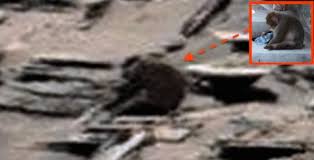 Image result for mars anomalies