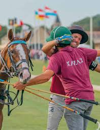 Image result for Taunton Vale Polo Club