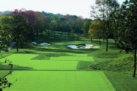 Image result for Hampole & Skelbrooke Cricket Club