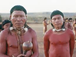 Image result for tribe