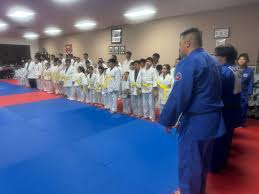 Image result for Anfield Youth Activity Centre Judo Club