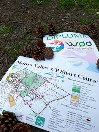 Image result for Wimbourne Orienteers