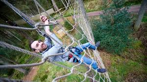Image result for Go Ape! Grizedale