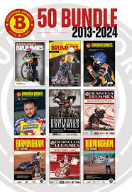 Image result for Birmingham Brummies