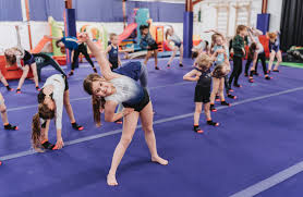 Image result for Jayenell Gymnastics Club