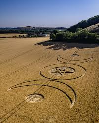 Image result for crop circle