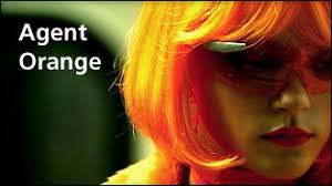 Image result for агент оранж