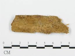 Attēlu rezultāti vaicājumam “Anomoporia bombycina”