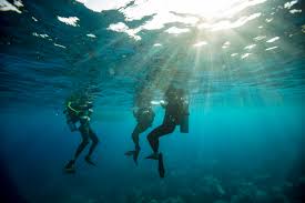 Image result for Divemaster Scuba