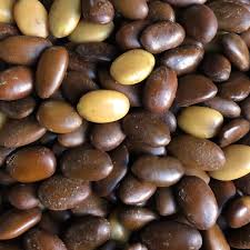 Attēlu rezultāti vaicājumam “Gleditsia triacanthos fruit”